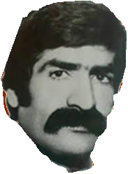 Orhan Urfan Alpaslan